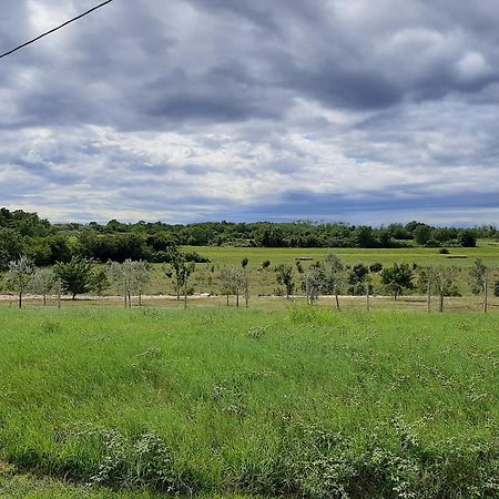 Apartment Green Oasis 1 Umag Zewnętrze zdjęcie