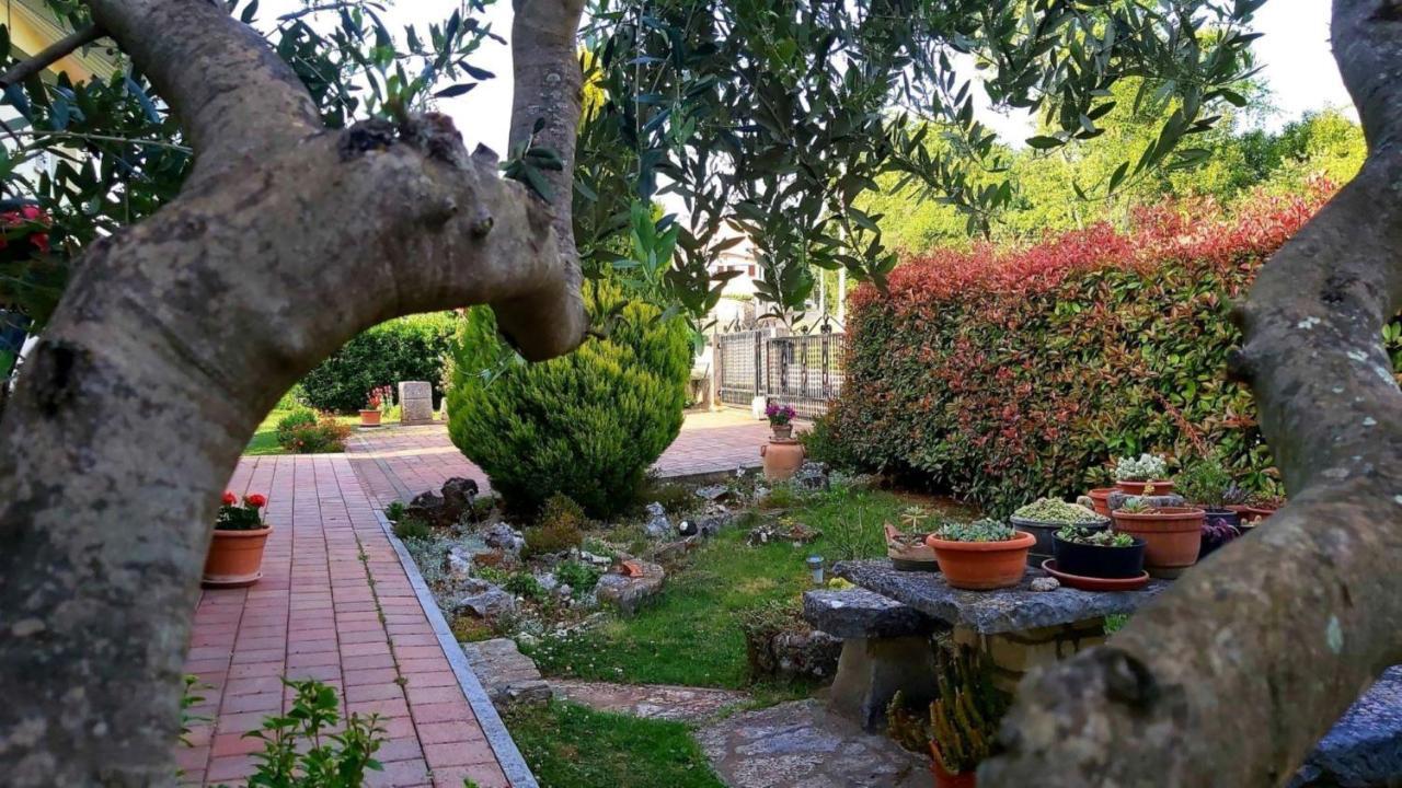 Apartment Green Oasis 1 Umag Zewnętrze zdjęcie
